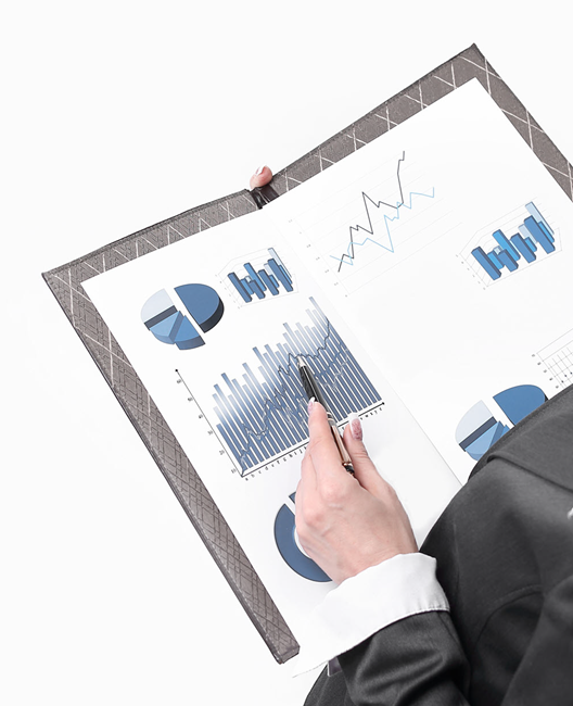 Berateresoftware